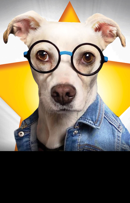 ​​The Canine Stars Stunt Dog Show  SAT, JAN 24 at 2:00 pm